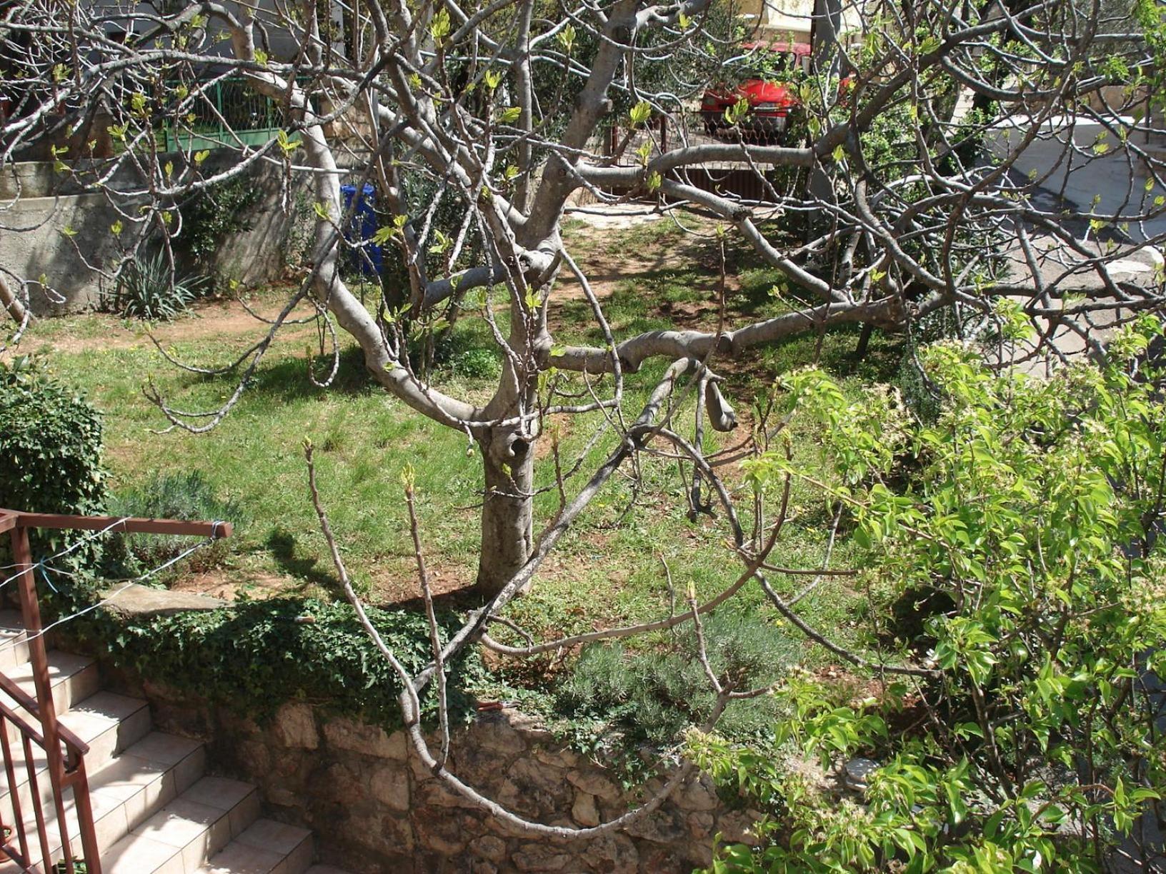 Apartments Mia Starigrad Paklenica Luaran gambar